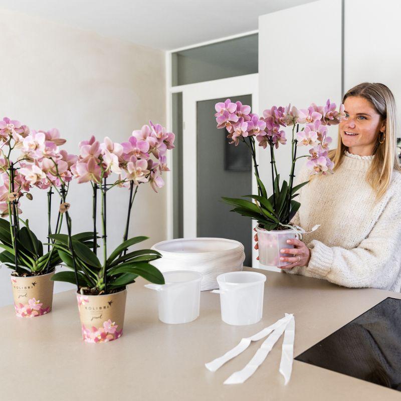 Kolibri Home | Maceta decorativa Como con sistema de riego - 3 x Ø12 cm