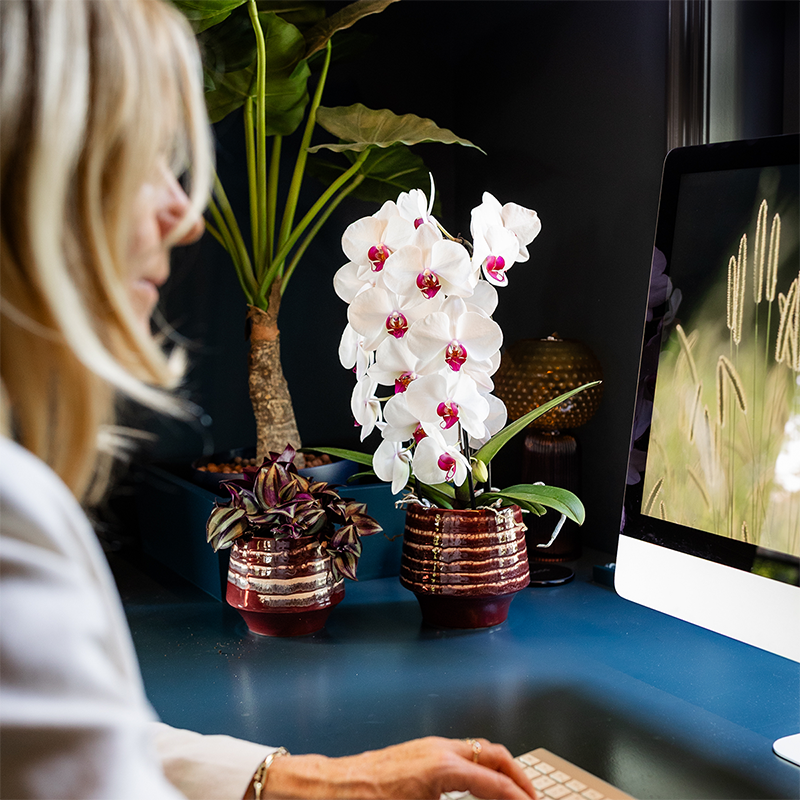 Kolibri Home | Moonstone Burgundy sierpot - Ø12cm