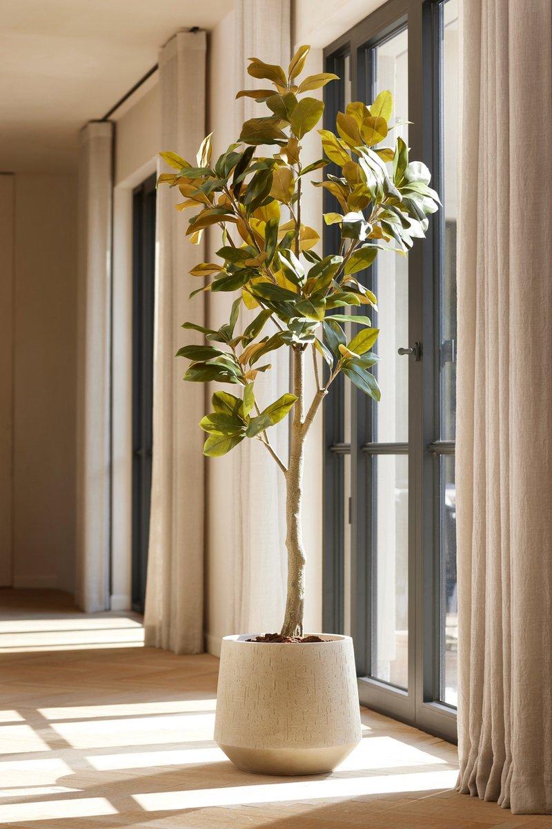 Magnolia Denudata - 150 cm - Artificial tree - Artificial plant