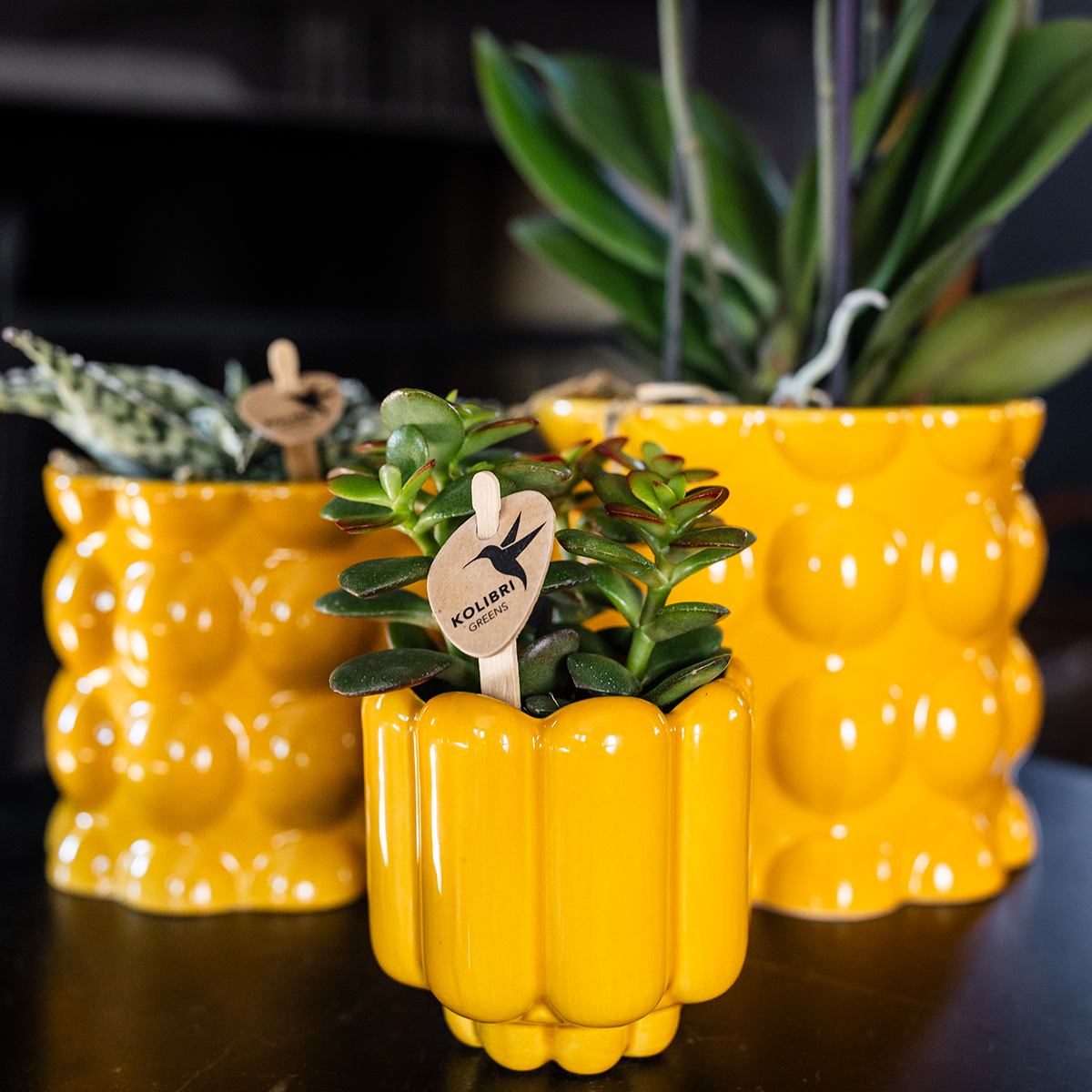 Kolibri Home | Retro Shine sierpot - Yellow - Ø6cm