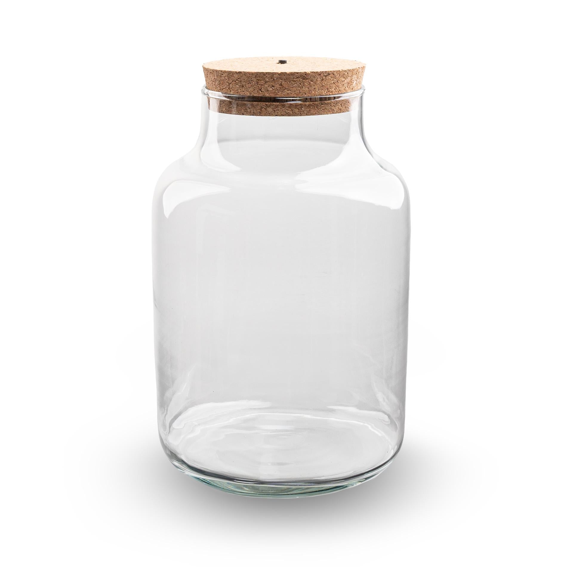 Bouteille terrarium avec éclairage - Couleur laiteuse - Ø 21 cm ↑ 30 cm
