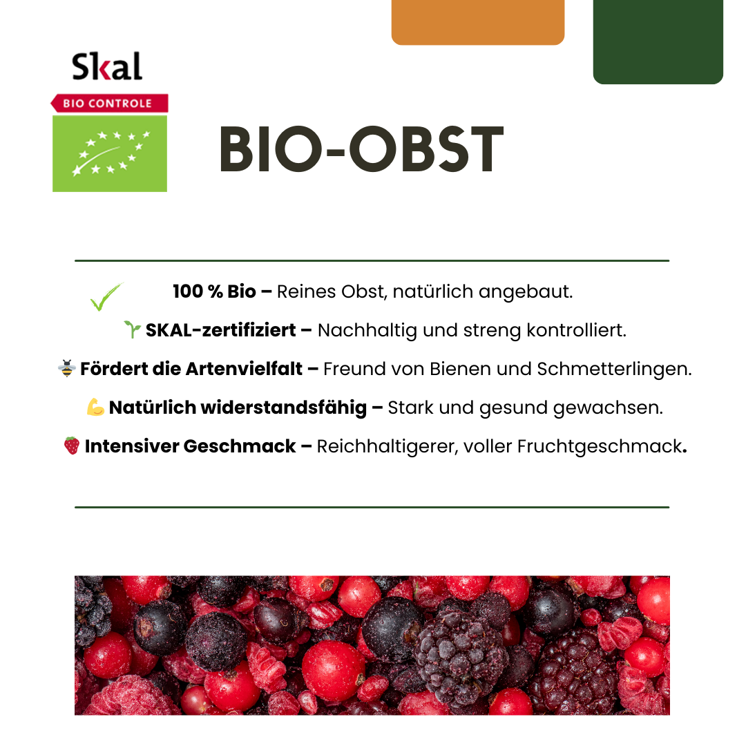 3 higueras orgánicas - Ø 13 cm - ↨ 20 cm