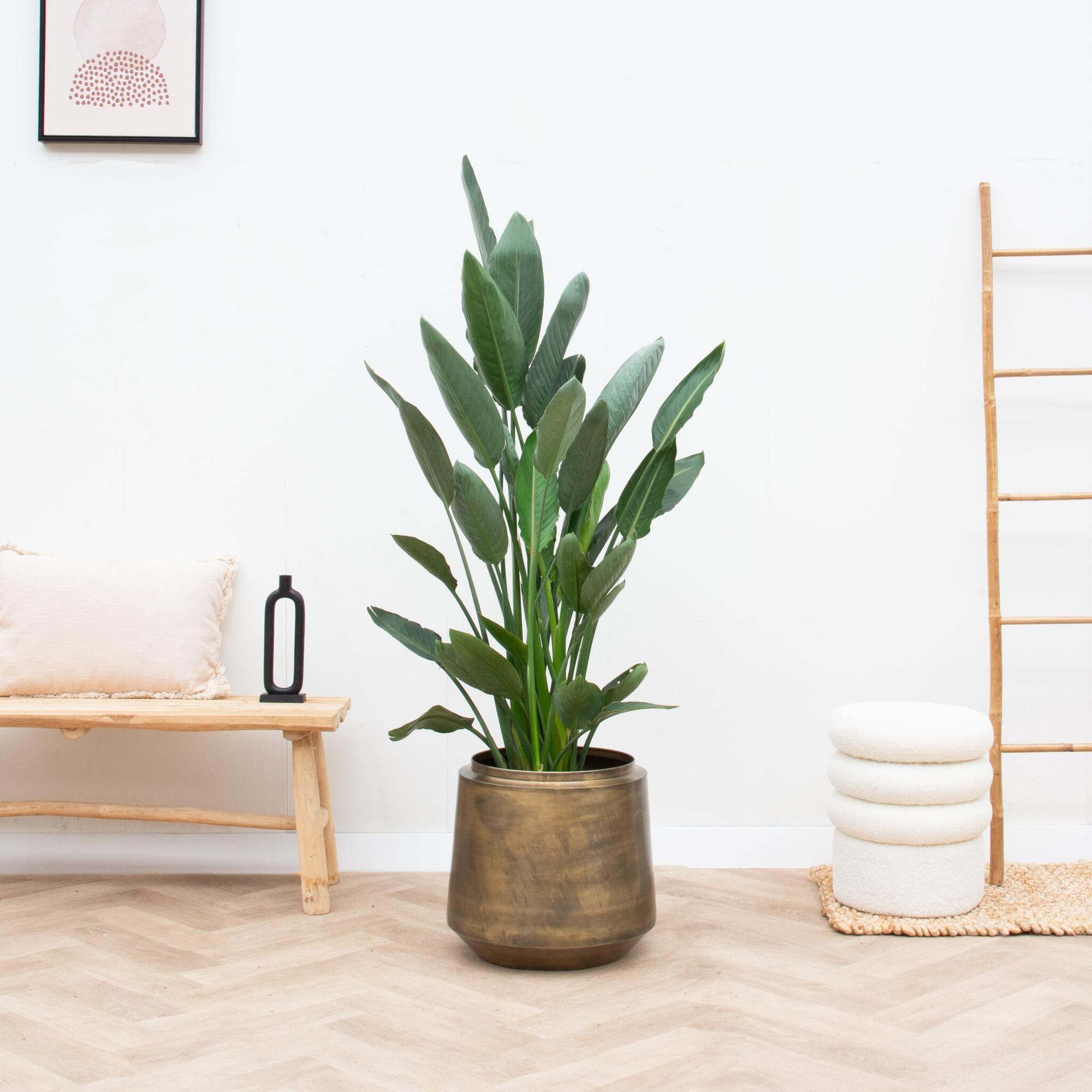 Maceta Indigo Vintage Gold - D58 x H51