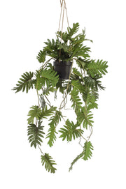 Pianta artificiale - Philodendron - Amante degli alberi rampicanti - 80 cm