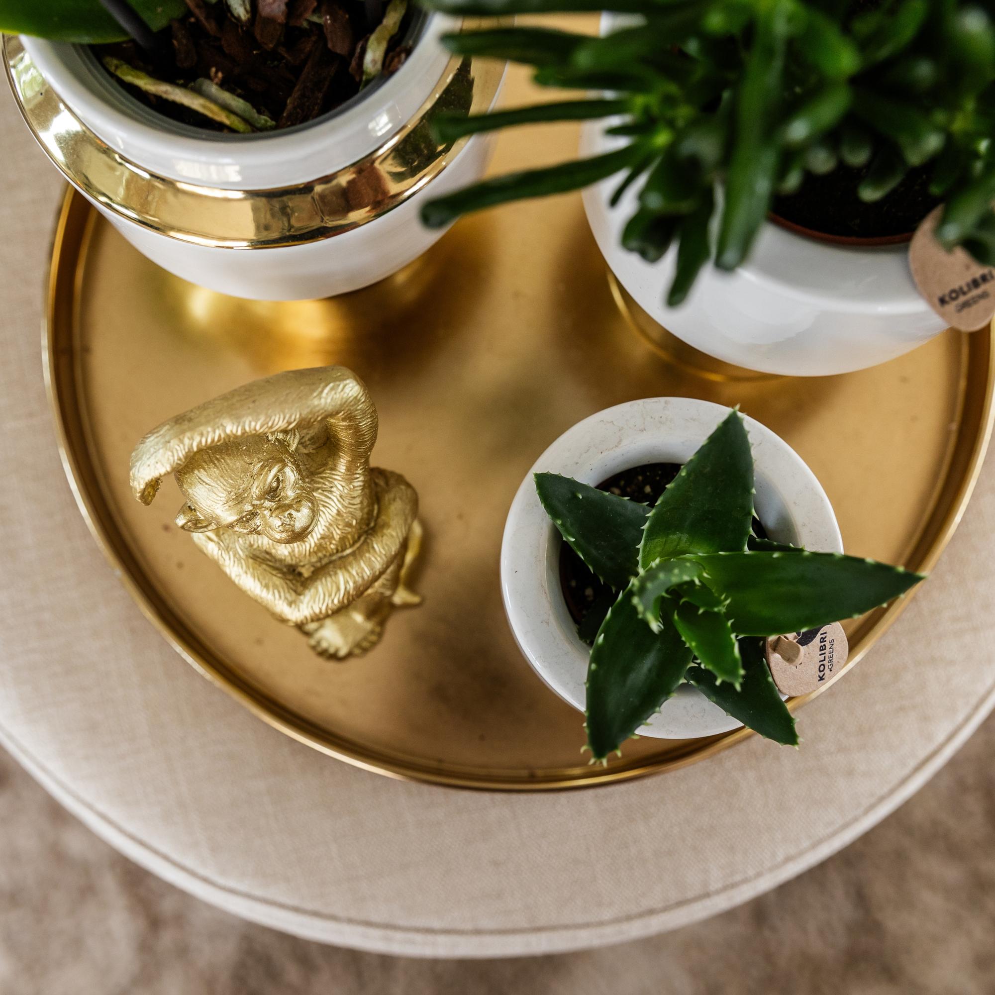 Kolibri Home | Plateau décoratif - Plateau rond doré Ø30cm