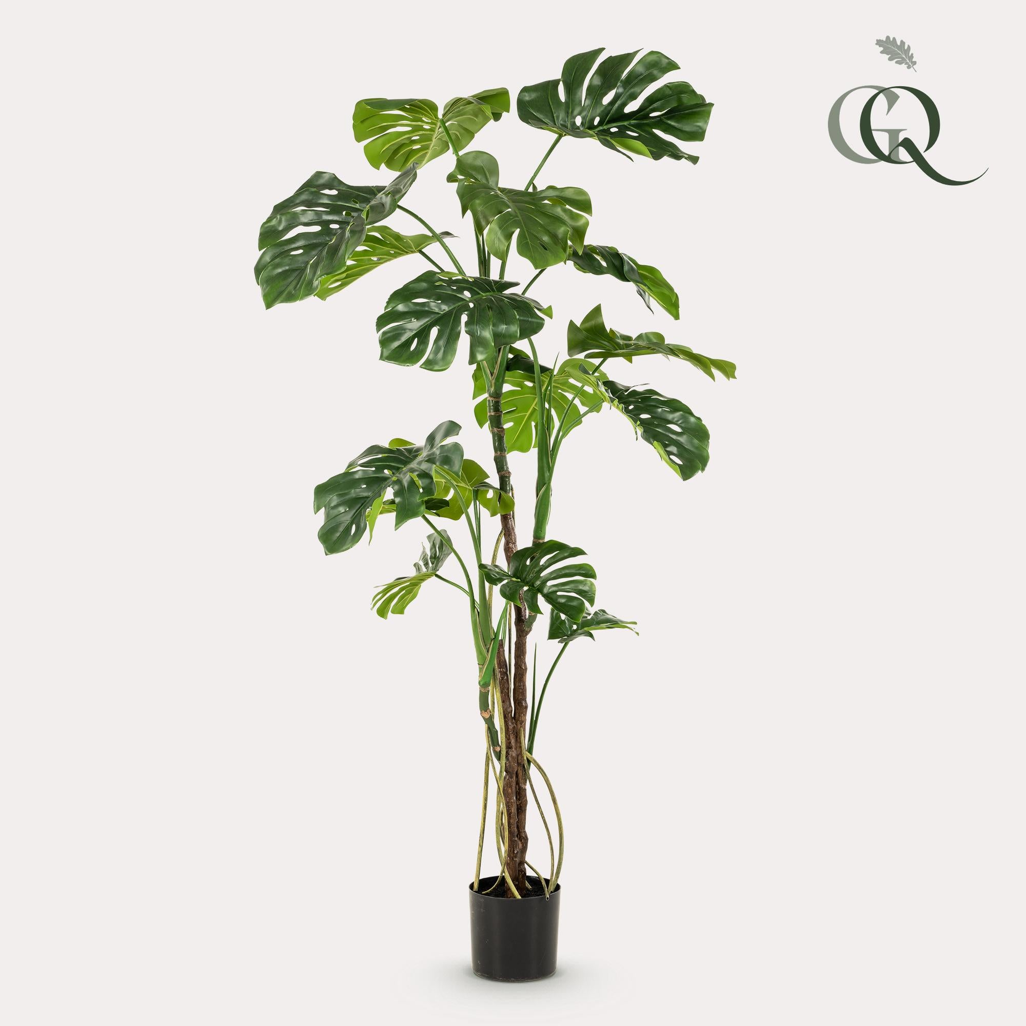 pianta artificiale - Monstera - Pianta da bucato - 180cm