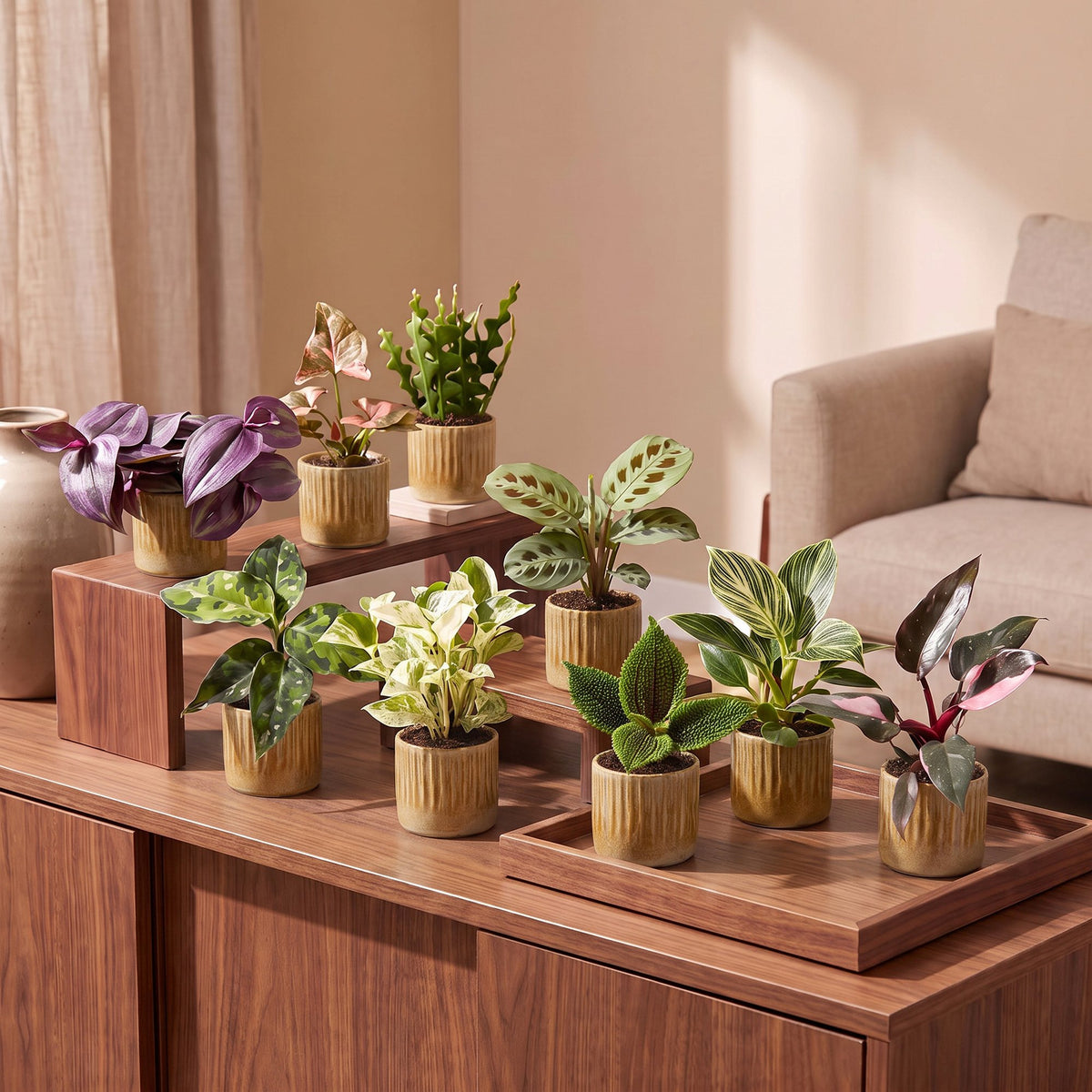 Baby Plants Surprise Box 9x - Verrassingsbox kleine planten - Diversen - Tropisch - incl. Linnea Honey - Ø6cm - ↕5-15cm