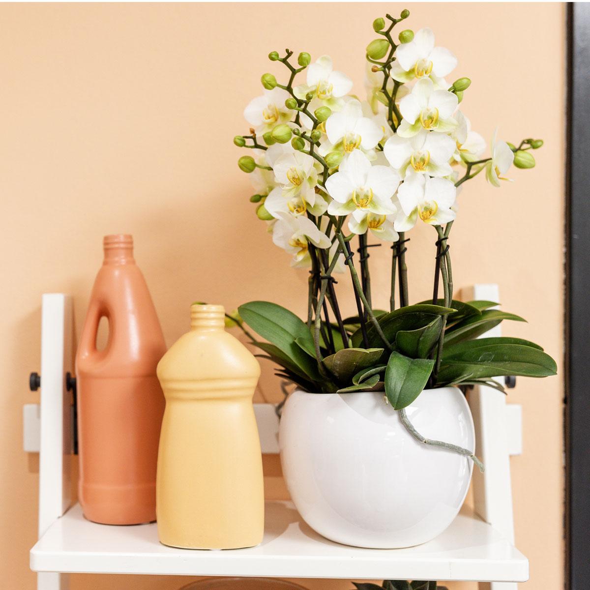 Kolibri Home | Bowl flowerpot - White ceramic decorative pot - pot size Ø9cm