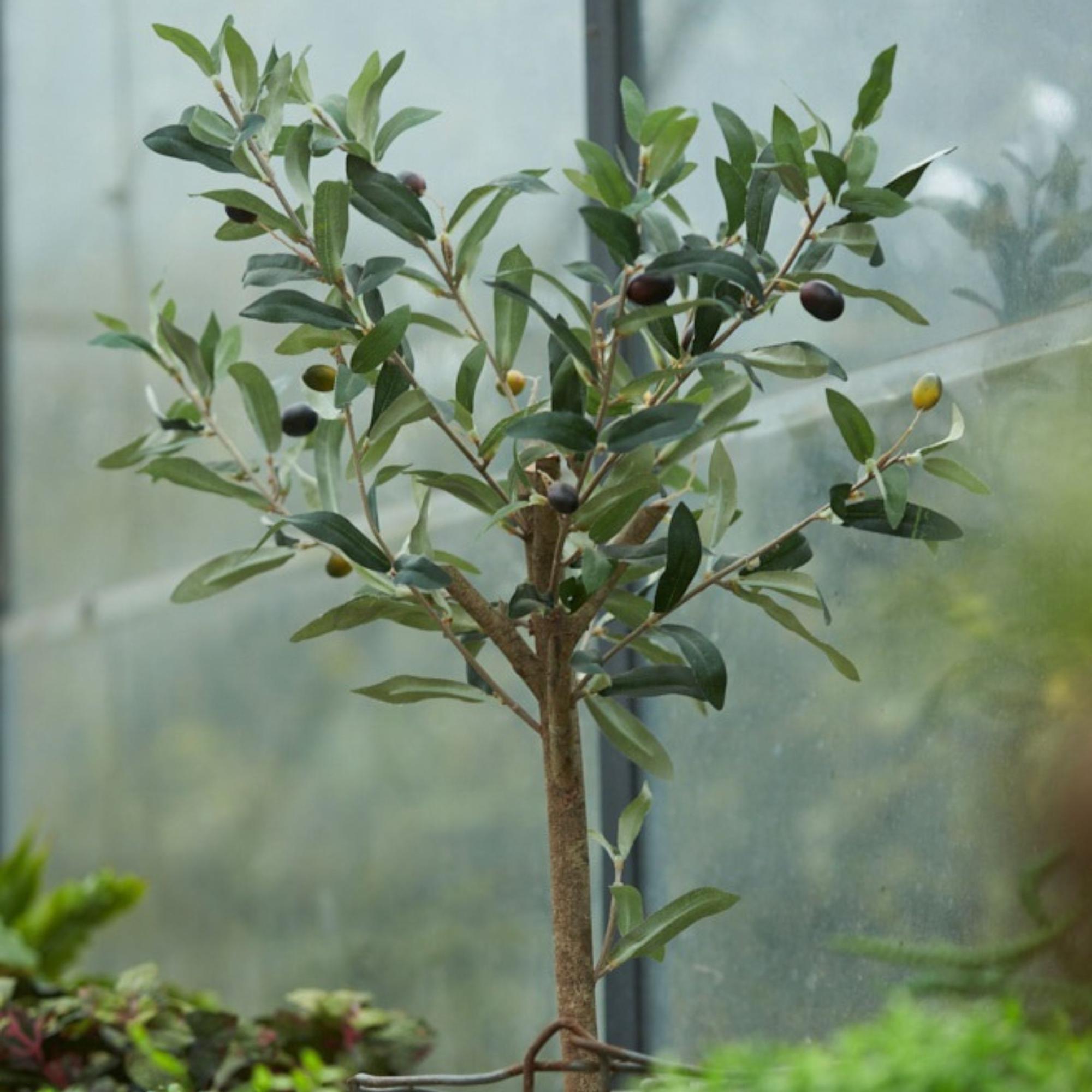 Olivenbaum im Topf, 65 cm – Künstliche Pflanze