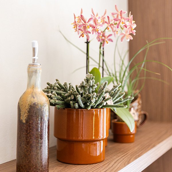 Kolibri Home | Timeless sierpot - Oranje - Ø9 cm