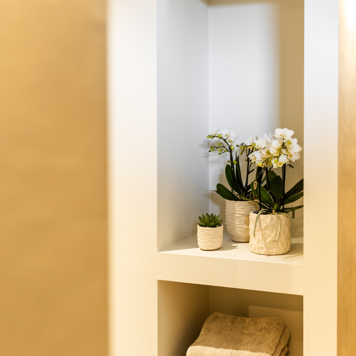 Kolibri Home | Dekorativer Seestern-Übertopf – Cremeweiß – Ø 6 cm