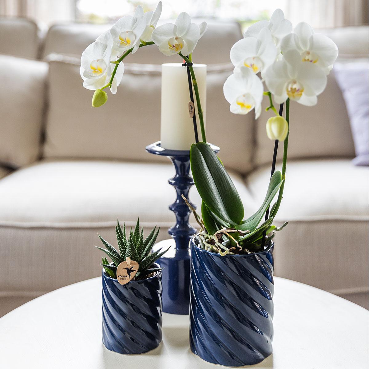 Kolibri Home | Candy sierpot | Hoog - Blue - Ø9cm