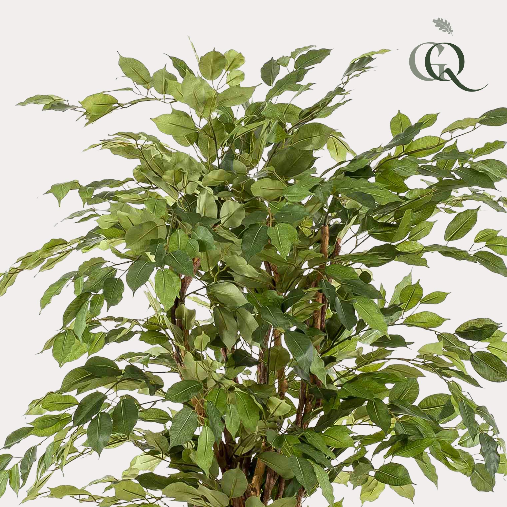 Künstliche Pflanze – Ficus-Liane (Geigenfeige) – 170 cm