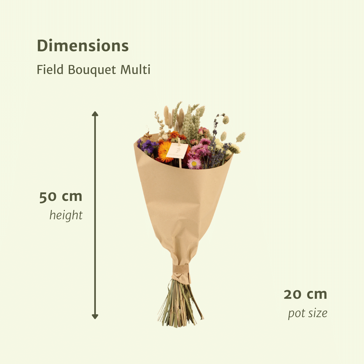 Bouquet champêtre de fleurs séchées multicolores - Ø20cm - ↕50cm