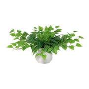 Kunstplant epipremnum including white pot