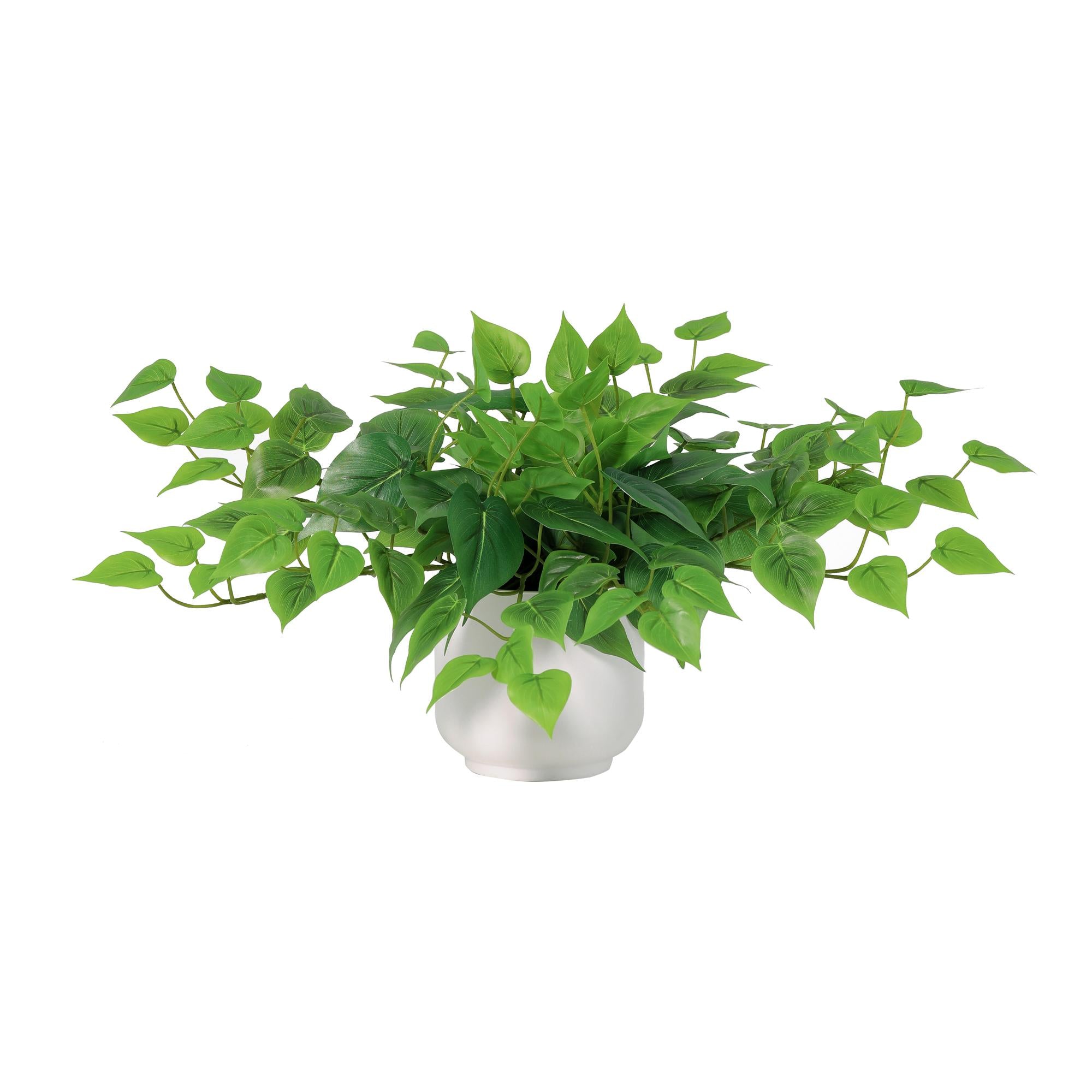 Kunstplant epipremnum including white pot
