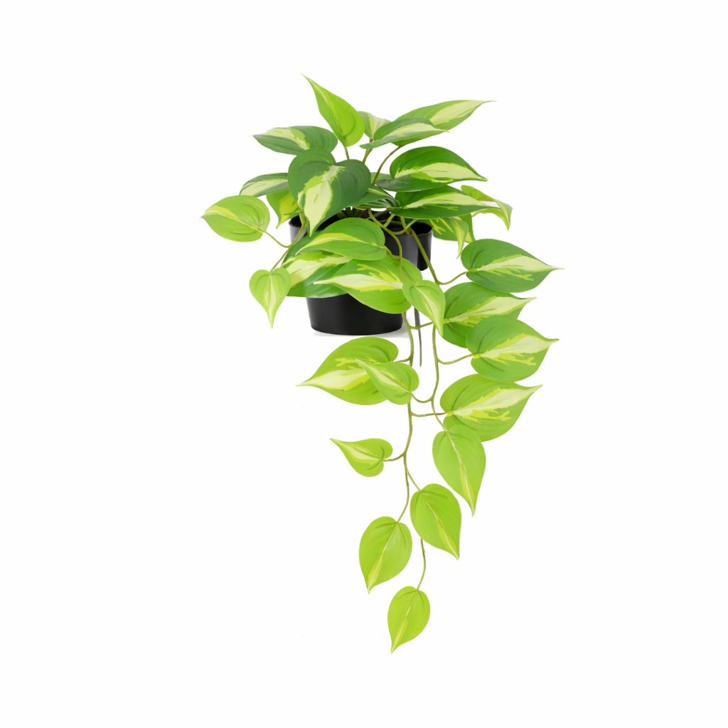 Kunstplant Epipremnum Variegata - 37cm