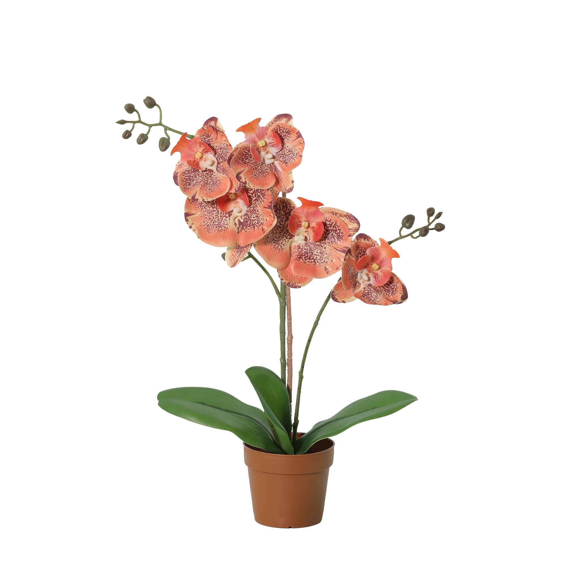 Kunstplant Phalaenopsis orchid orange - 41cm