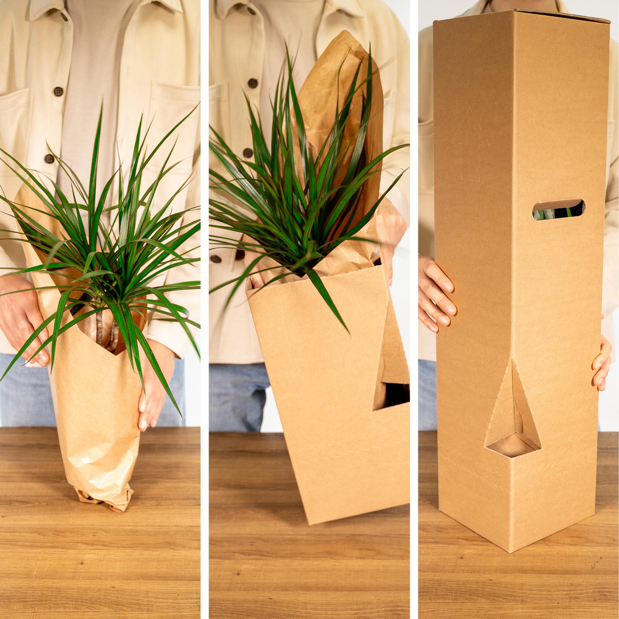 Außenbox - Ø12cm - 12x