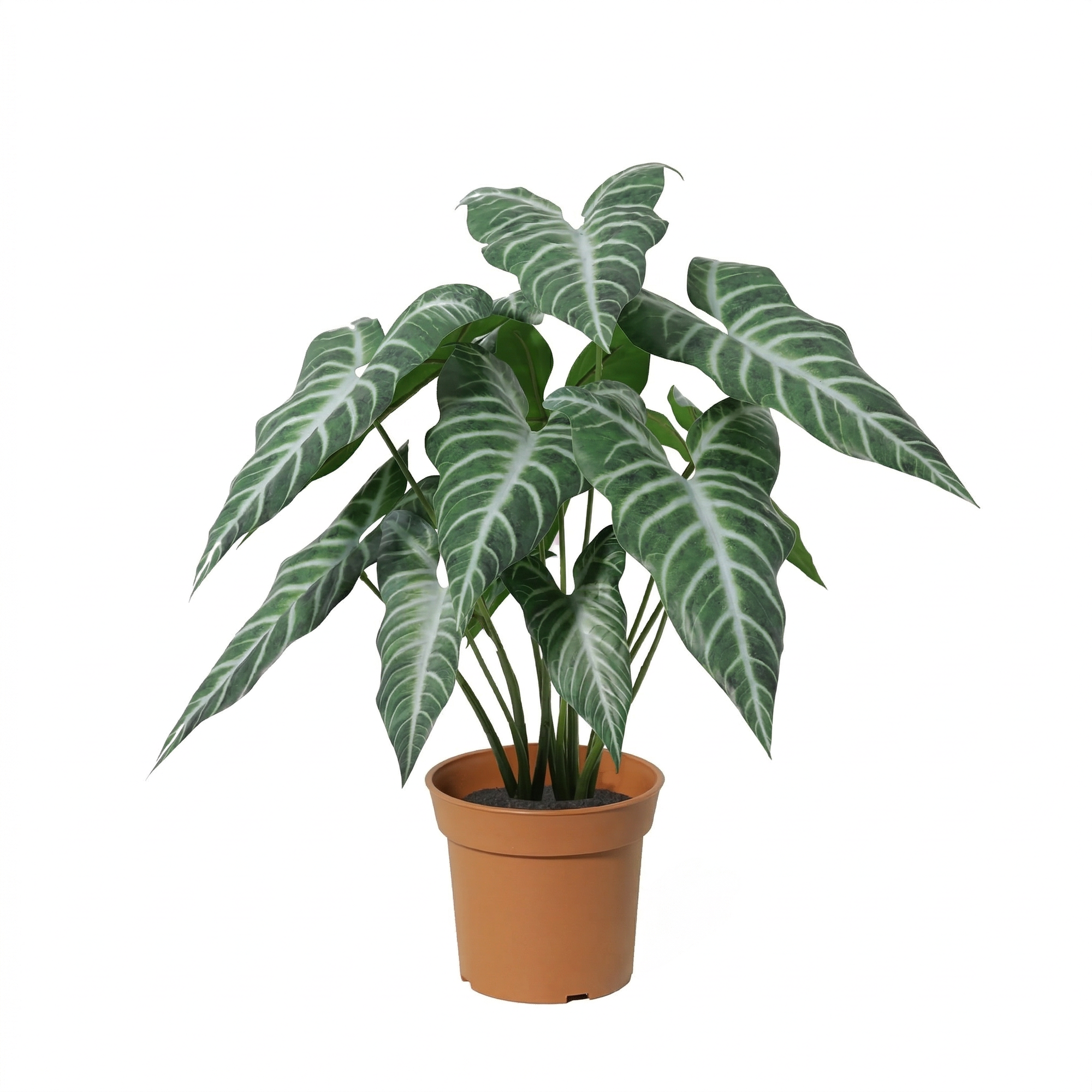 Kunstplant Alocasia polly - 49cm