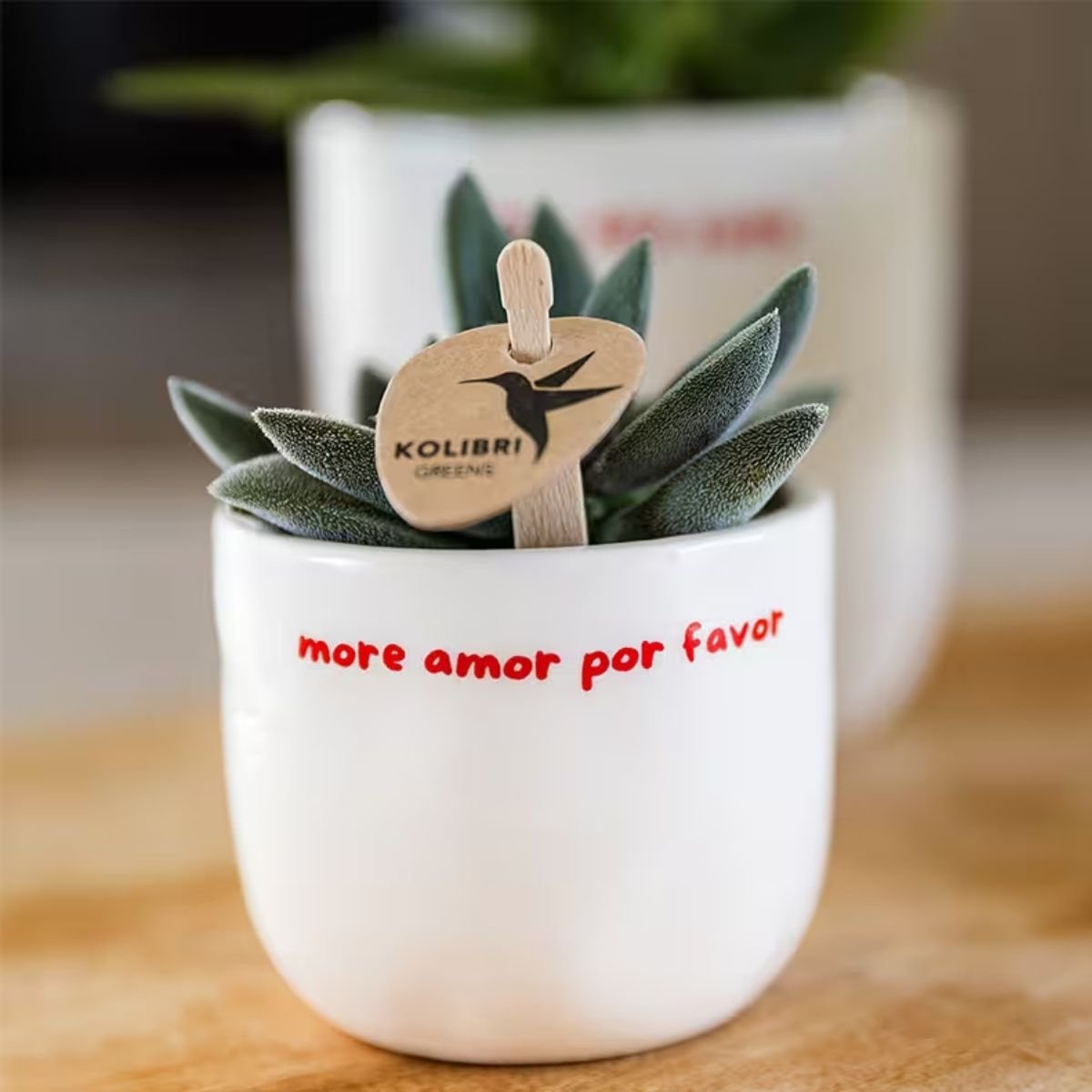 Kolibri Home | More Amor Por Favor sierpot - Ø6cm