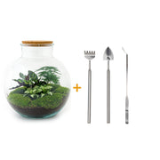 Terrario casero - Bolder Bob - ↕ 30 cm - Rastrillo + Pala + Pinzas
