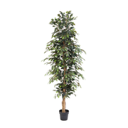 Kunstplant Ficus Benjamina - 205cm