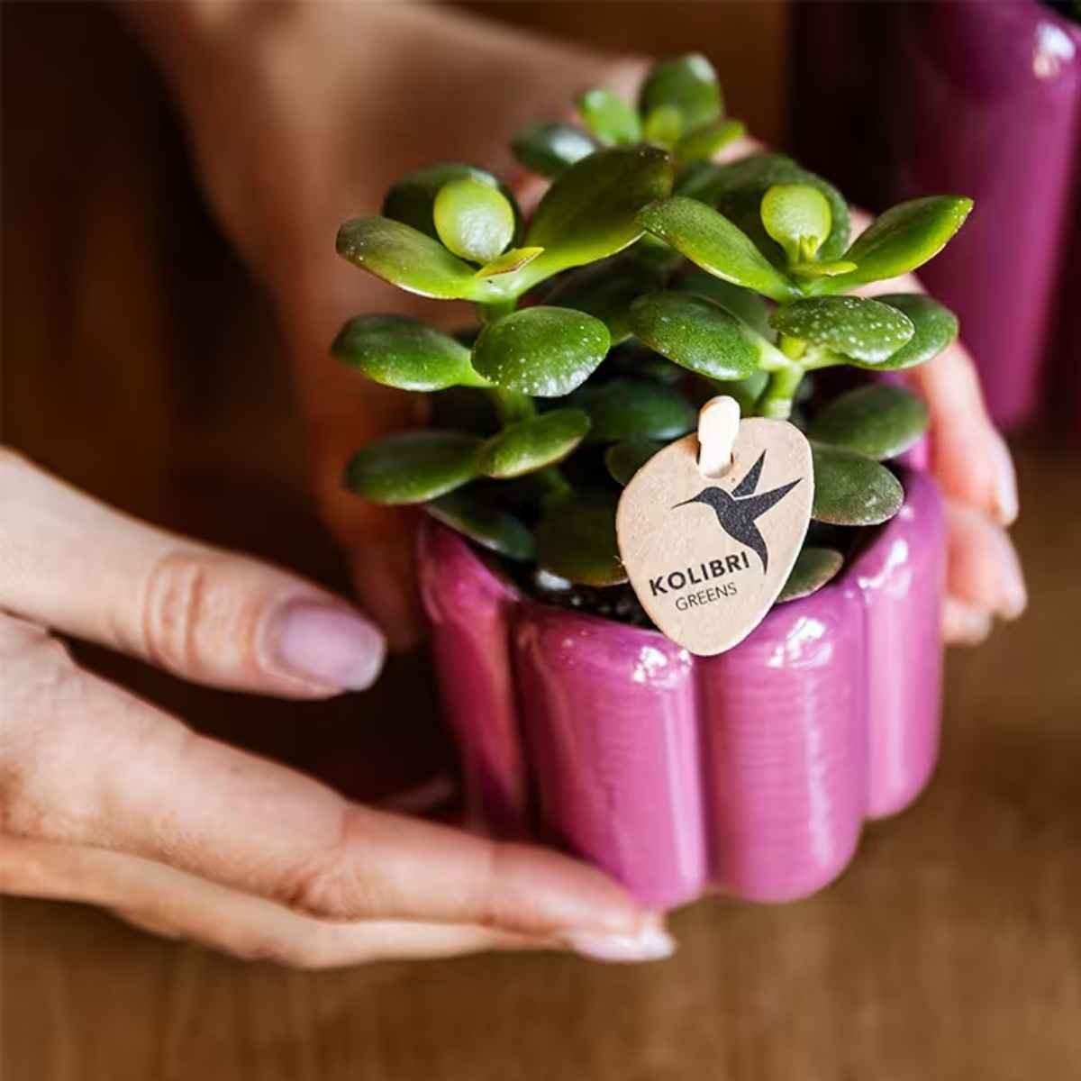 Kolibri Home | Retro sierpot - Paars - Ø6cm