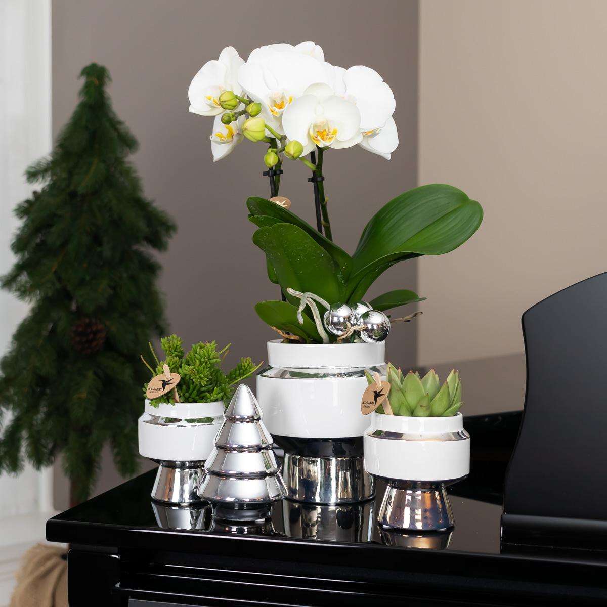 Kolibri Home | Le Chic flowerpot - White ceramic decorative pot with silver details - Ø6cm