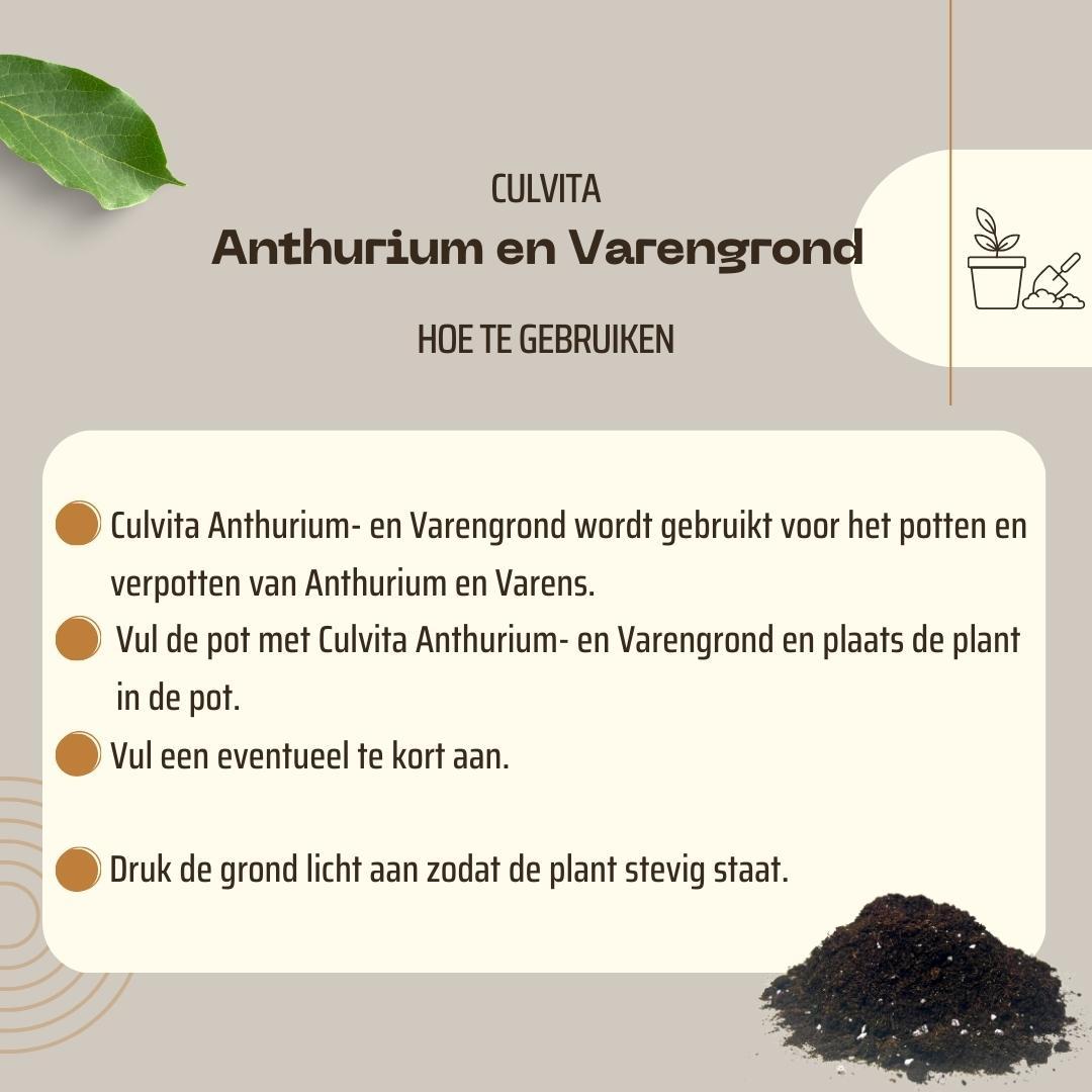 Culvita - Terriccio per Anthurium e Felci 5 litri - terriccio adatto per Anthurium e Felci