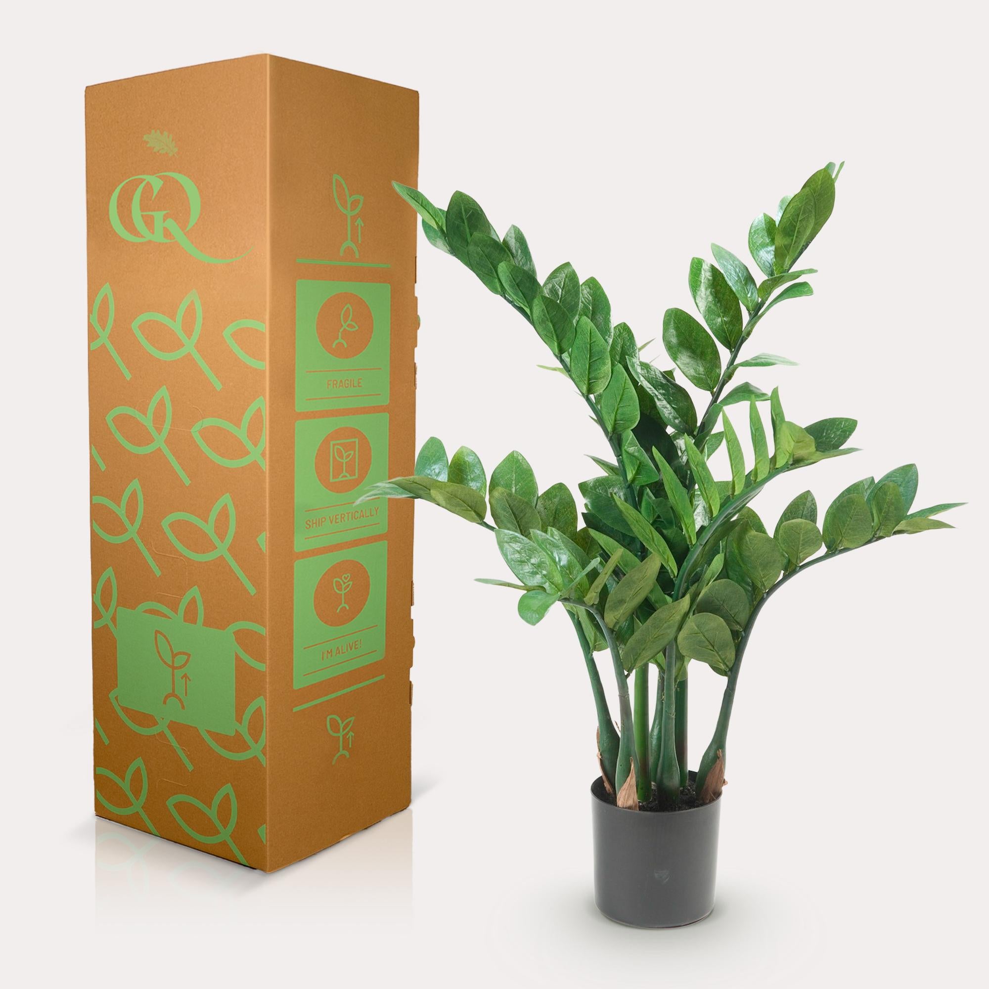 Artificial plant - Zamioculcas - Indoor palm - 70 cm