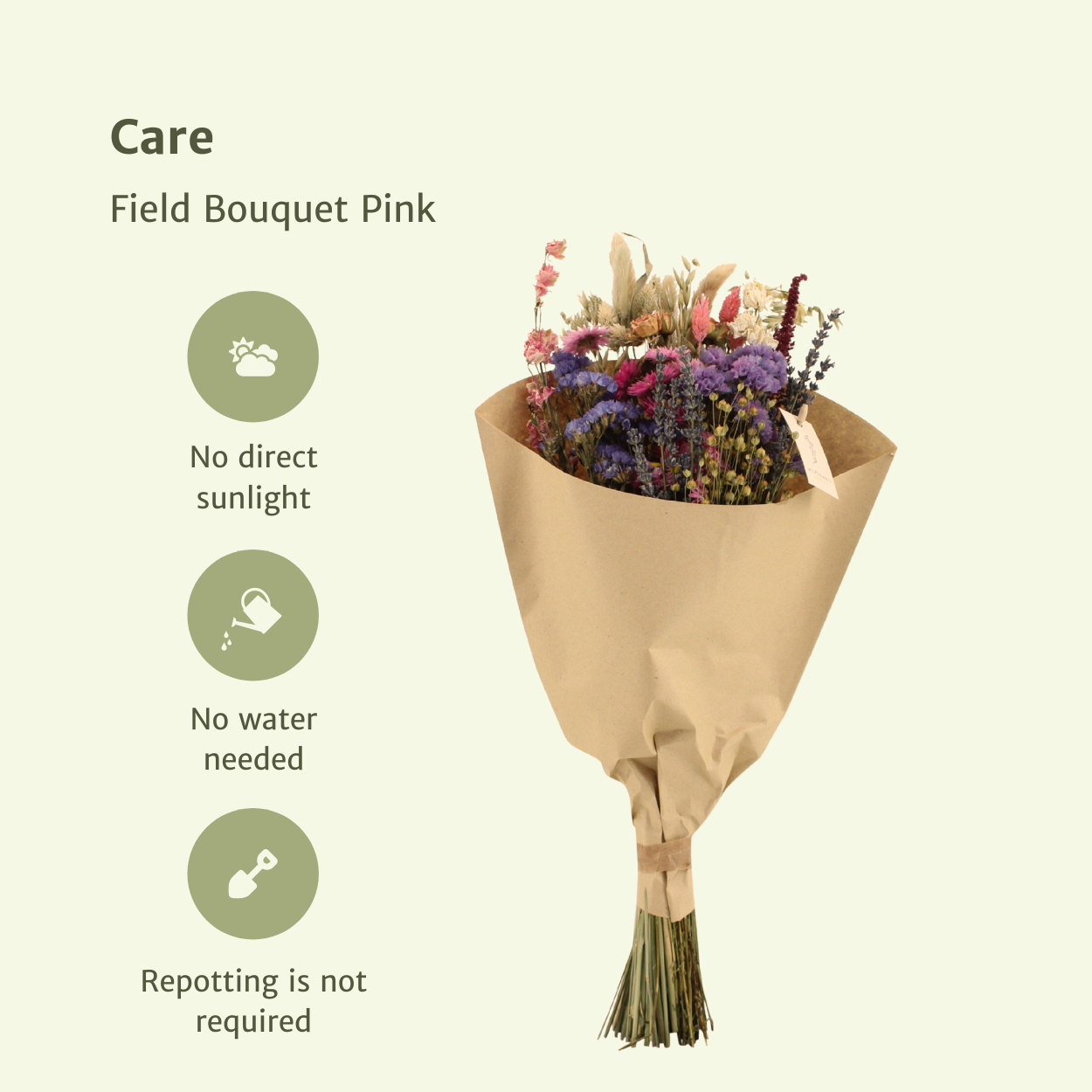 Trockenblumen-Feldstrauß Rosa - Ø 20 cm - Ø 50 cm
