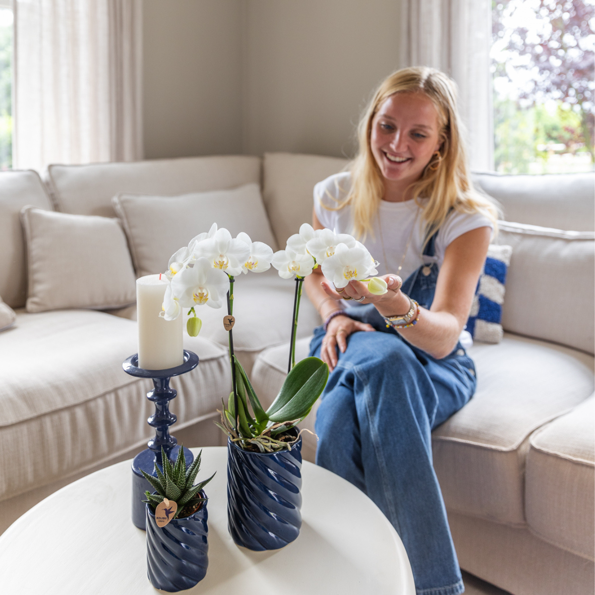 Kolibri Orchids | Conjunto de orquídeas Amabilis blancas y suculentas en macetas decorativas Candy azules - tamaños de maceta Ø9cm y Ø6cm | planta de interior con flor - recién cultivada
