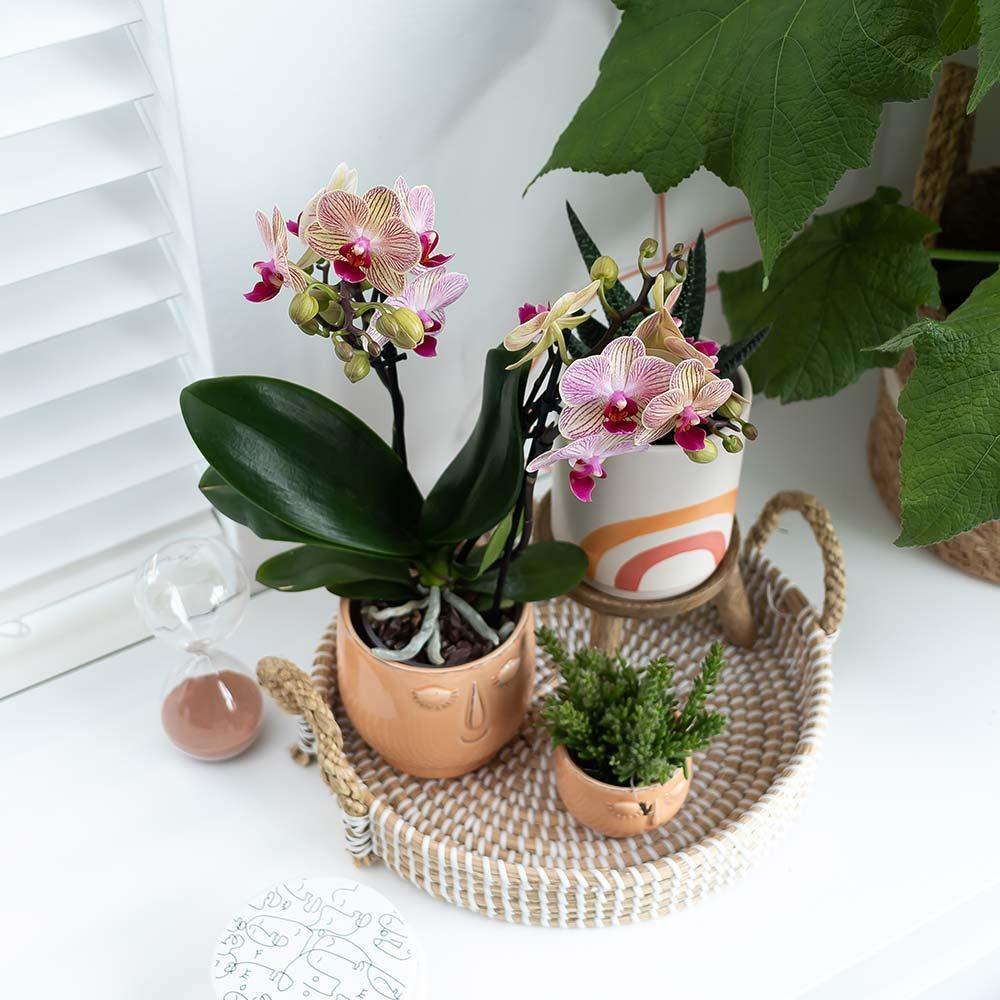 Kolibri Home | Decorative bowl - White woven tray Ø30cm