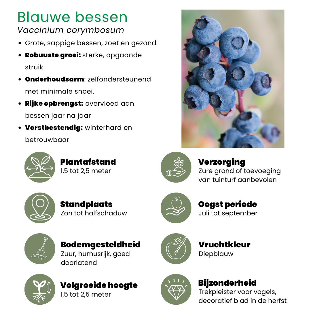 Biologische Fruitplanten mix set van 4 verschillende soorten