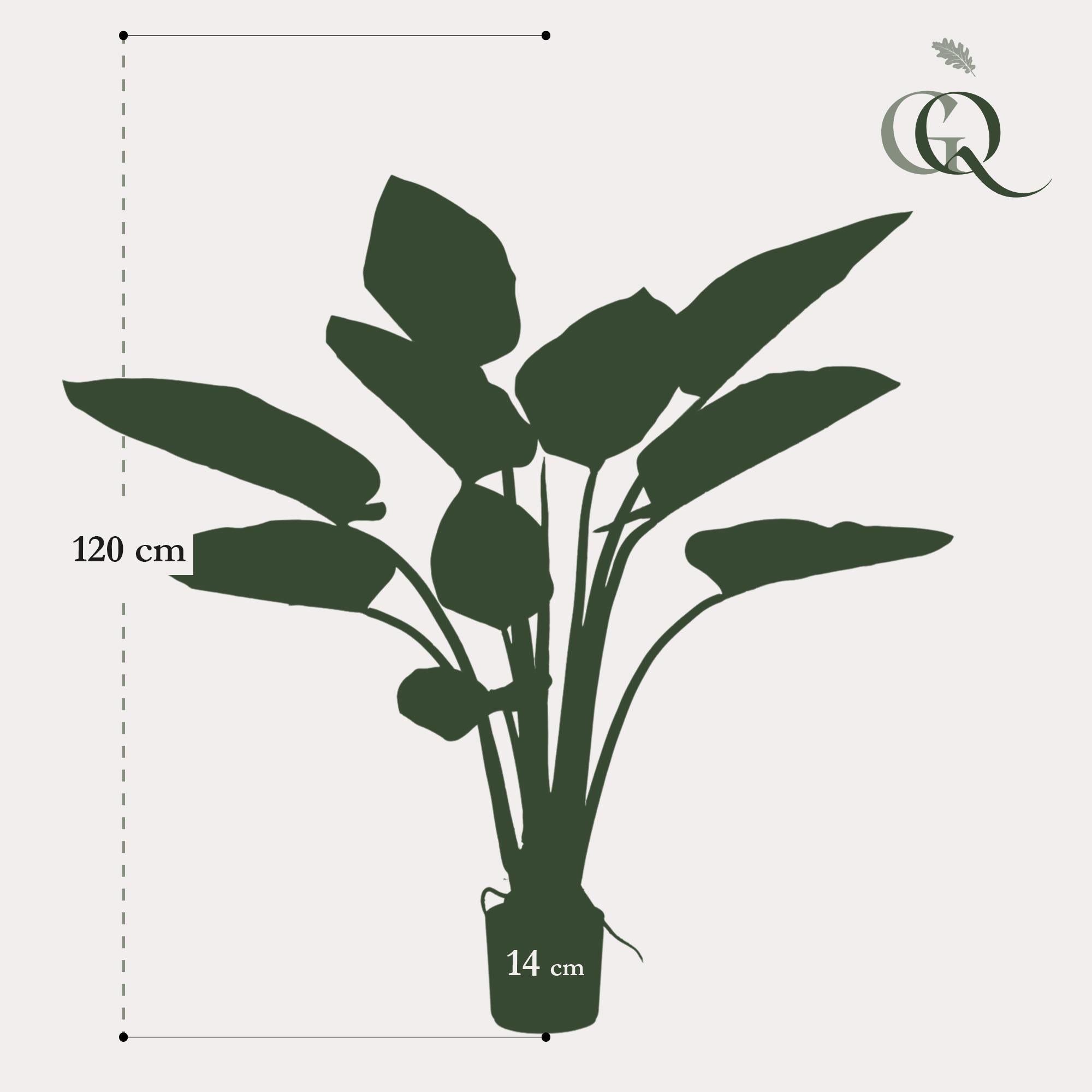 Pianta artificiale - Philodendron - 120 cm