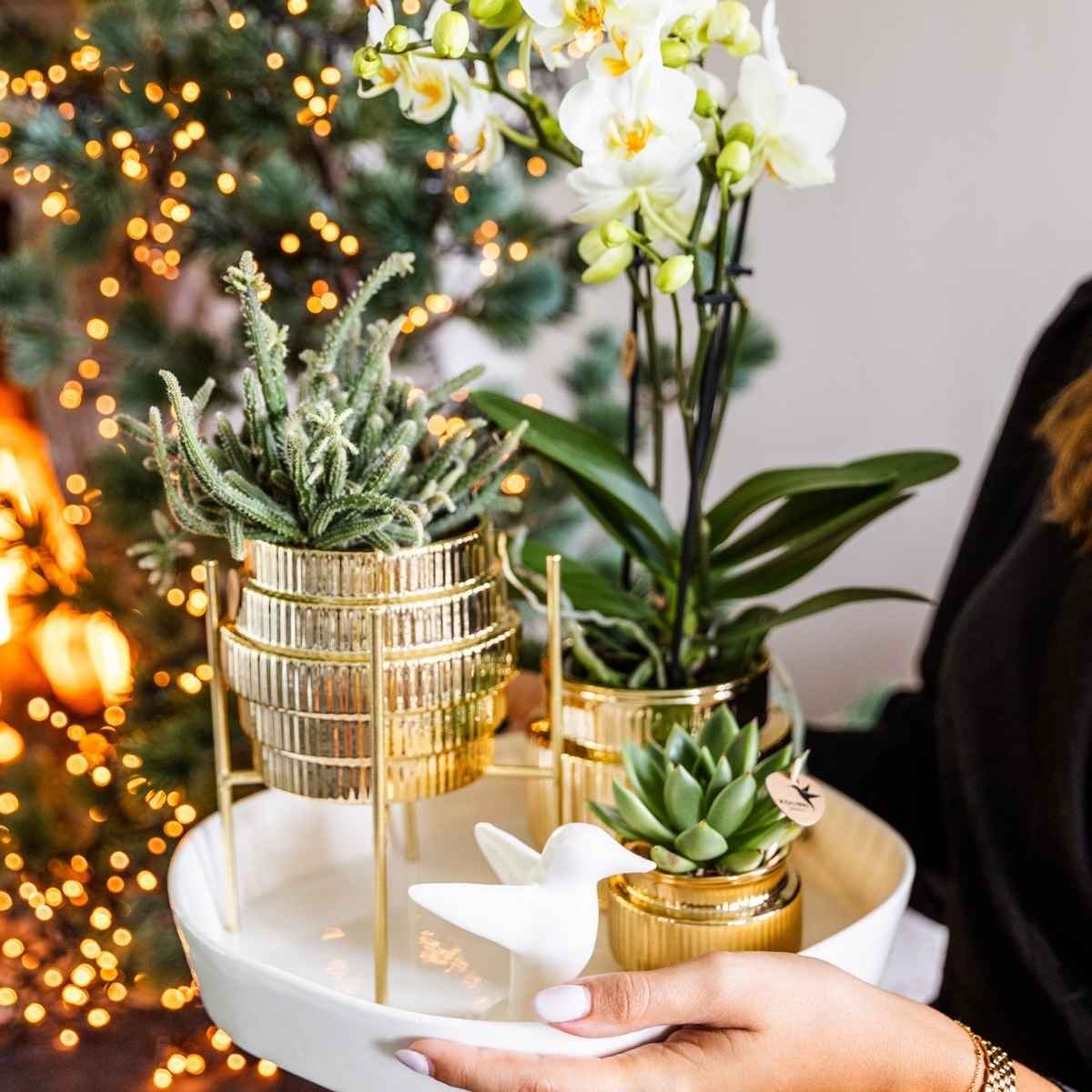 Kolibri Home | Allure Empire Shiny sierpot - Goud - Ø9cm