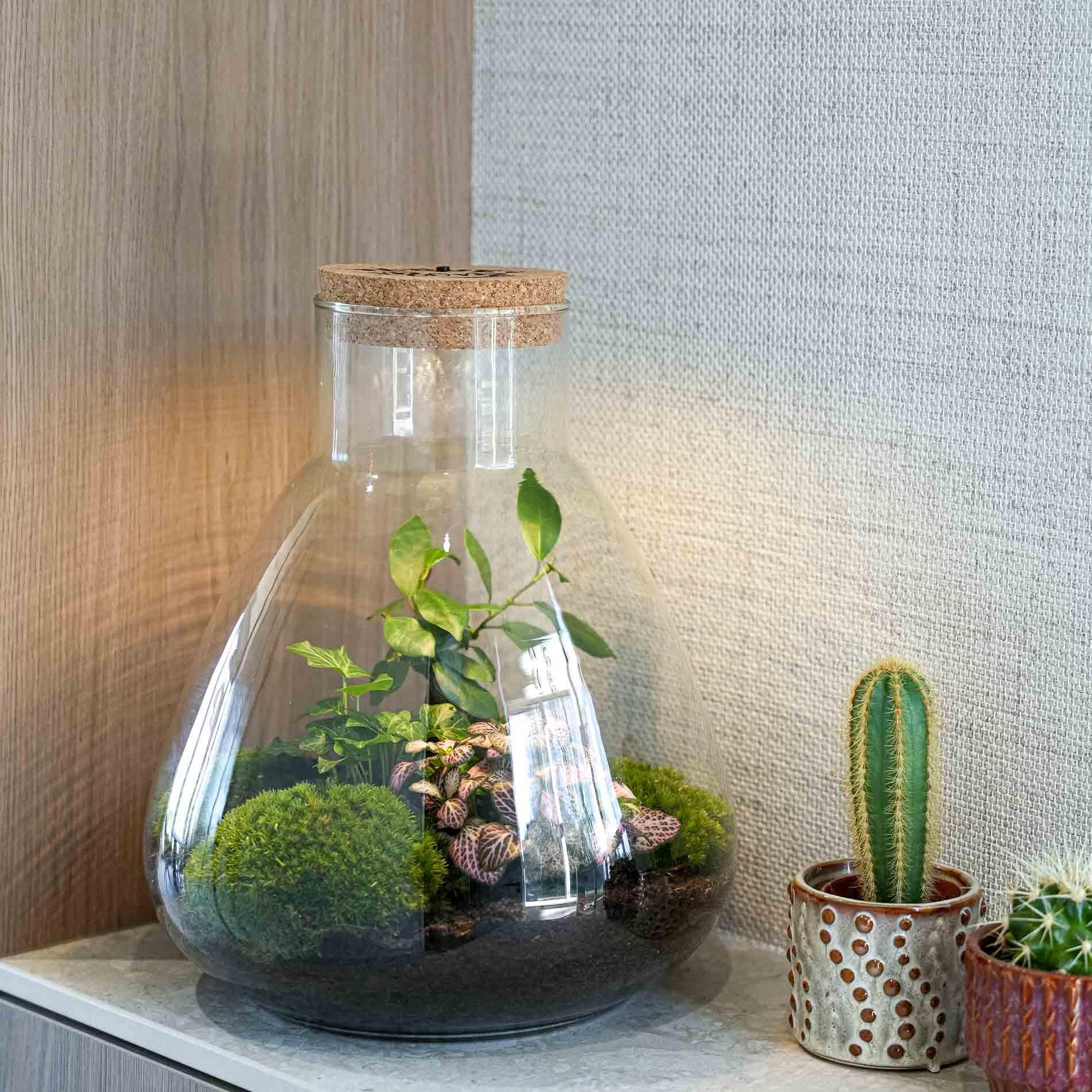 LOVE MOM' terrarium Sam + gegraveerde kurk met licht - Fles terrarium DIY kit - Ø 24.5 cm ↑ 30 cm - Moederdag
