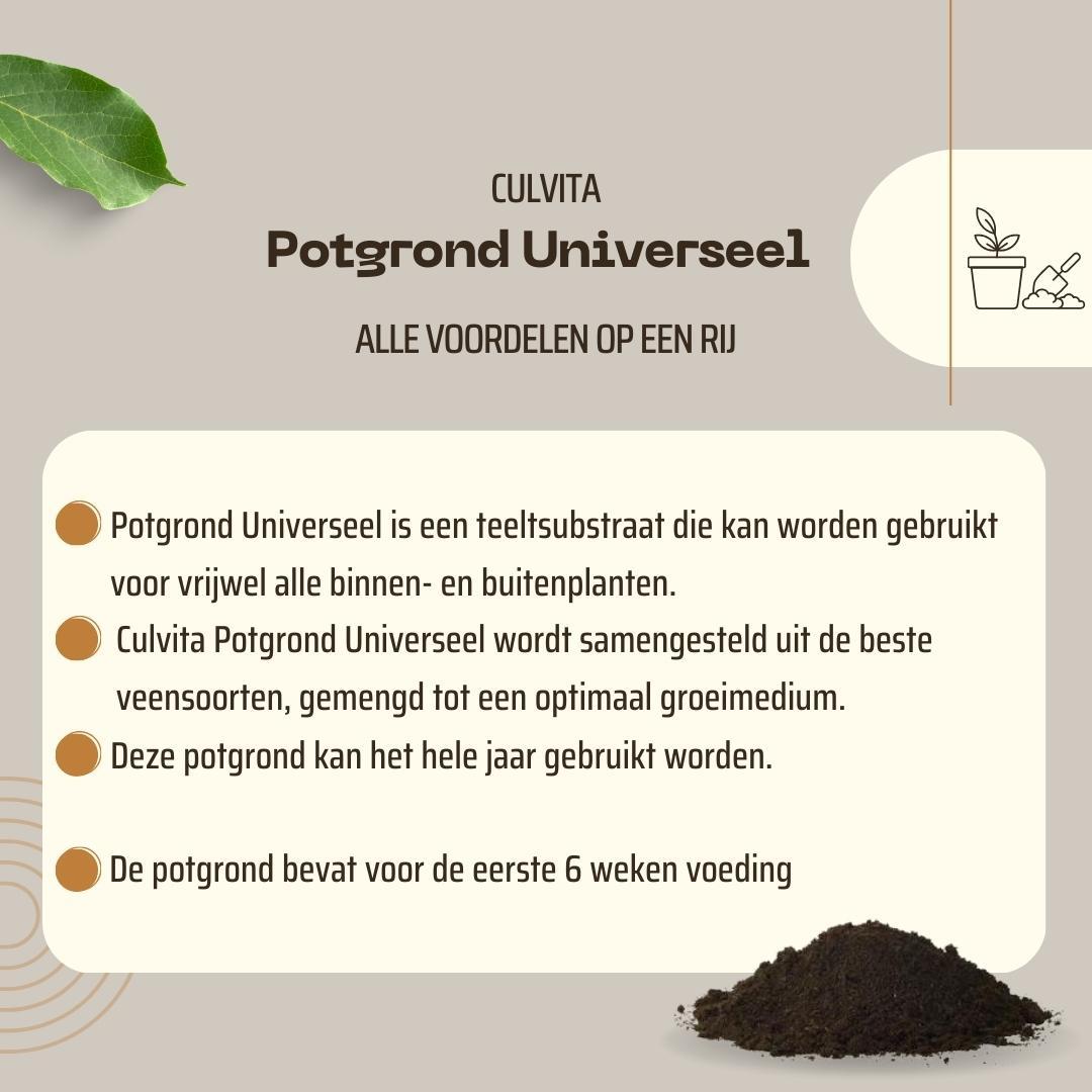 Terreau universel Culvita avec 2 mois d'engrais - Terreau universel pour plantes d'intérieur et d'extérieur - 40 litres
