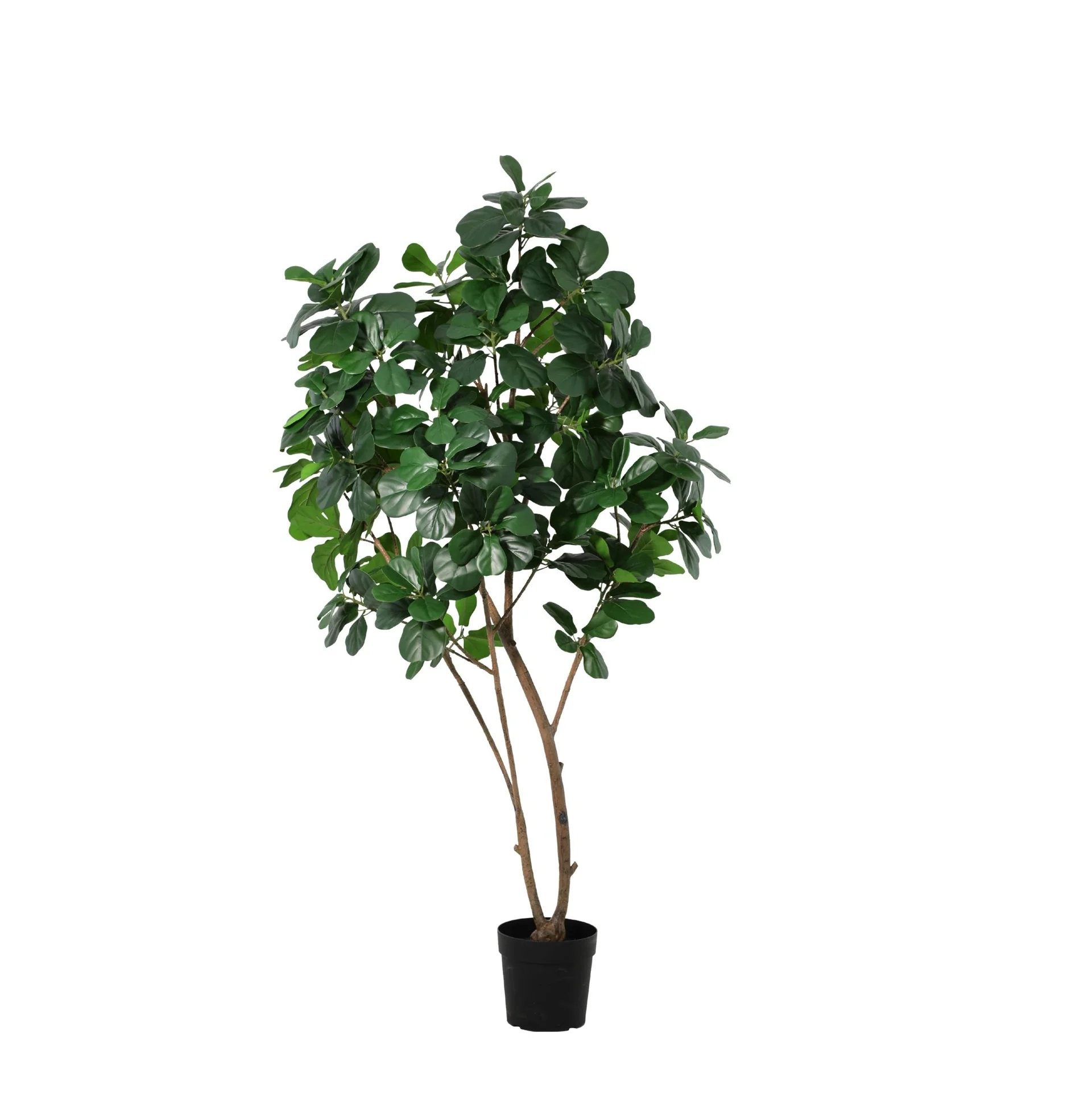 Kunstplant - Ficus Lyrata boom - 180cm