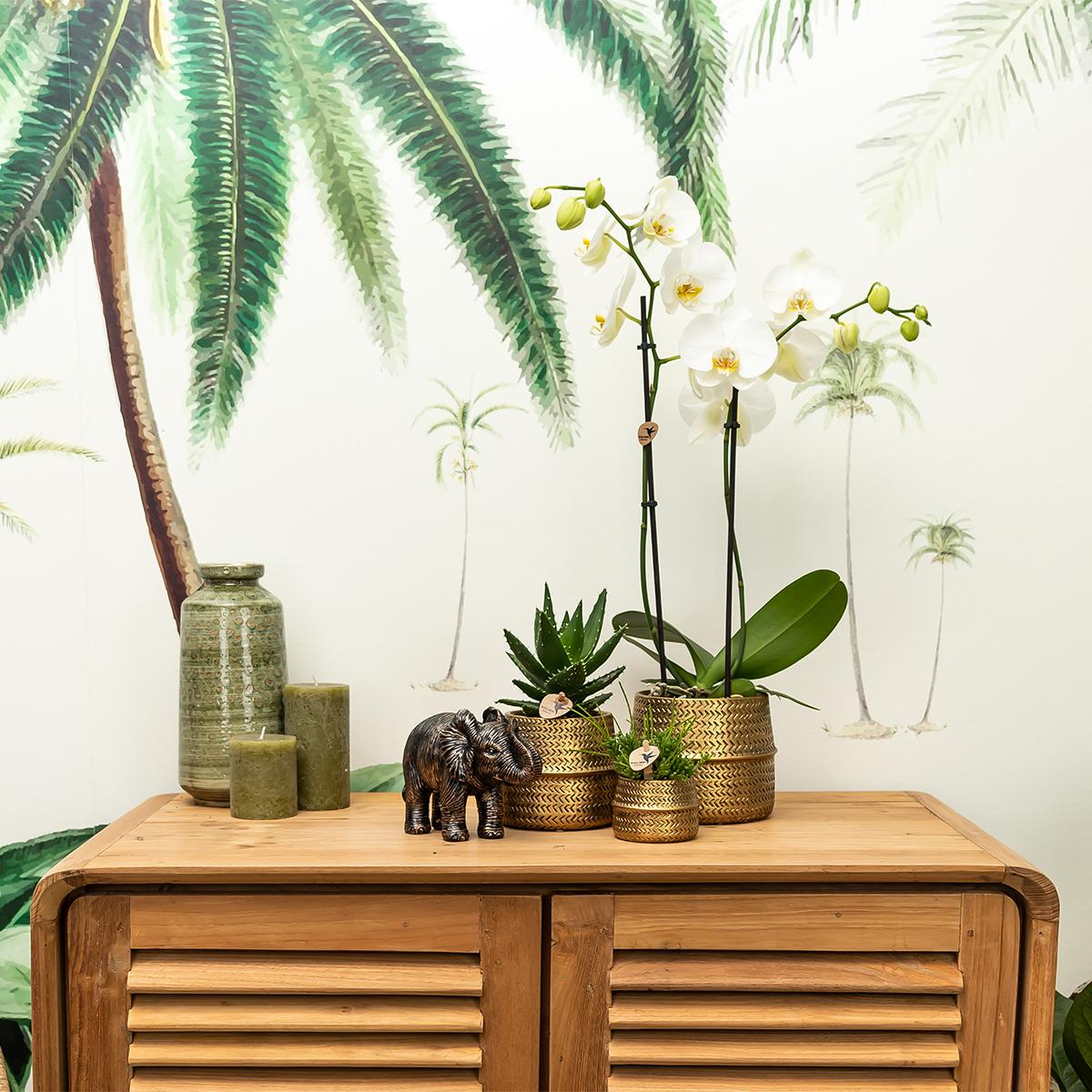 Kolibri Home | Groove flowerpot - Gold ceramic decorative pot - pot size - Ø9cm