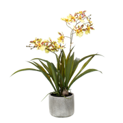 Pianta artificiale - Orchidea - Gialla - 45cm
