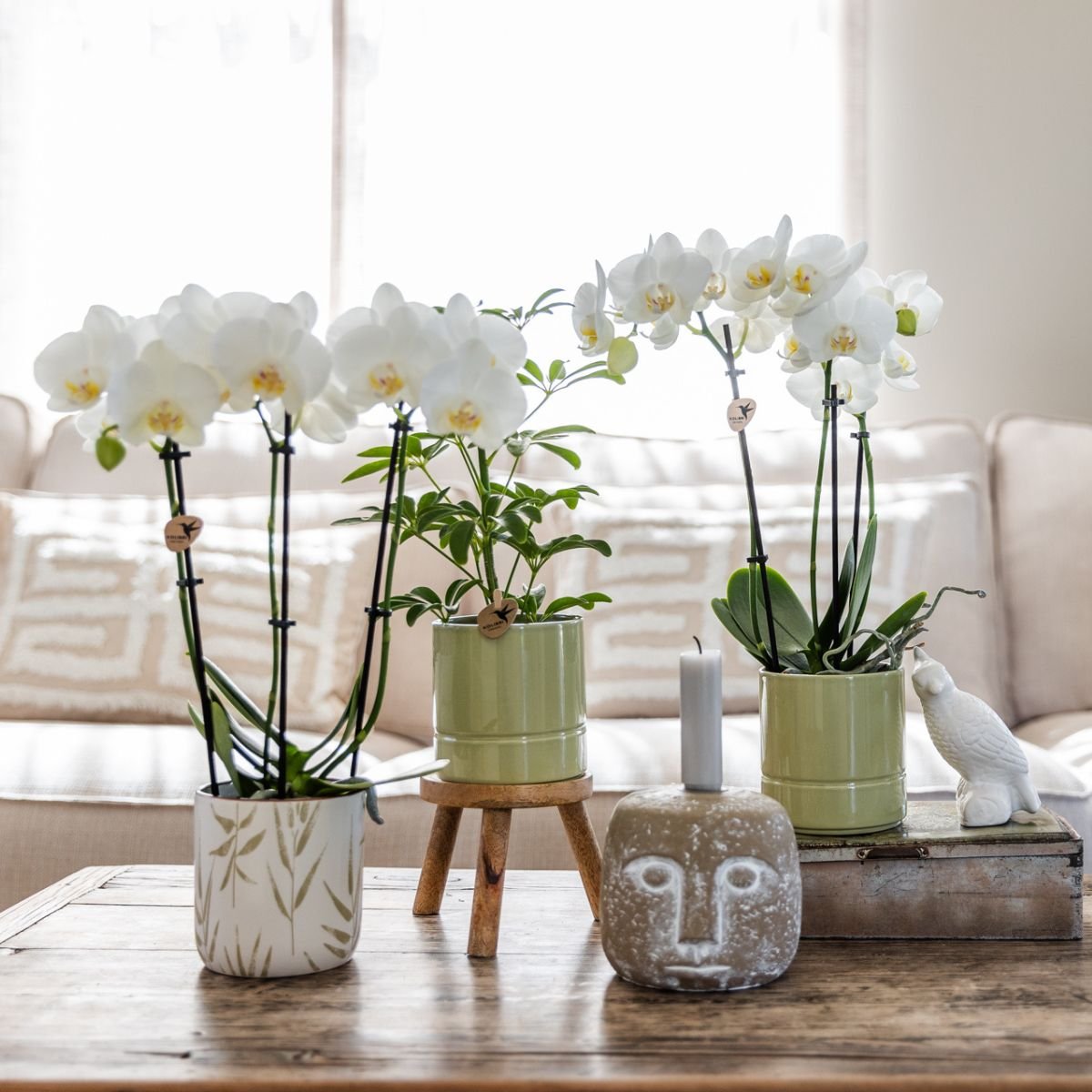 Kolibri Home | Pastel sierpot - Groen