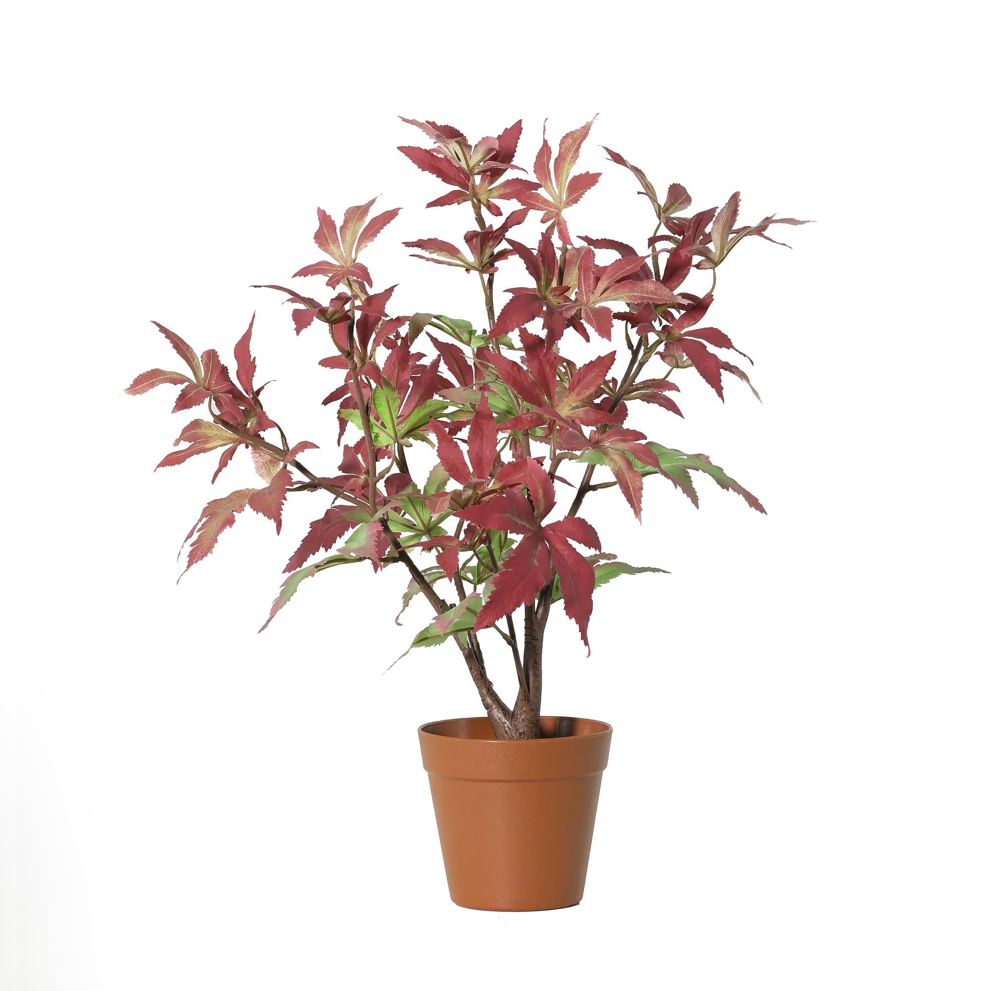 Kunstplant Maple - 53cm