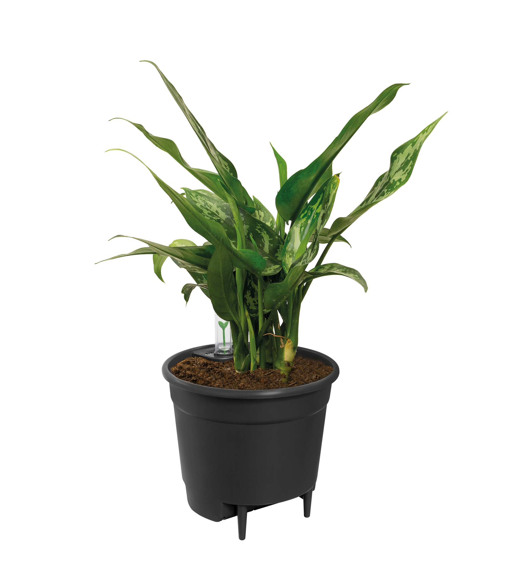 Self Watering Insert - 21 cm