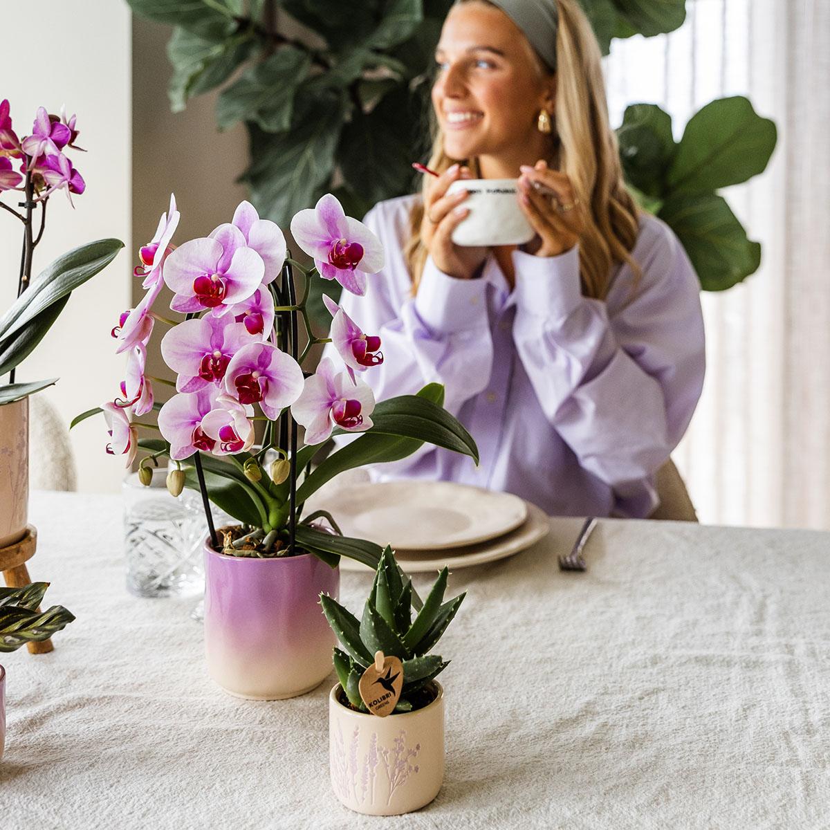 Kolibri Home | Vaso decorativo Gradience - Viola - Ø9cm