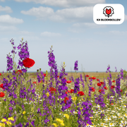 Blanding af vilde blomsterfrø – 100 gram | God til bier, sommerfugle og biodiversitet | ± 30-50 m²