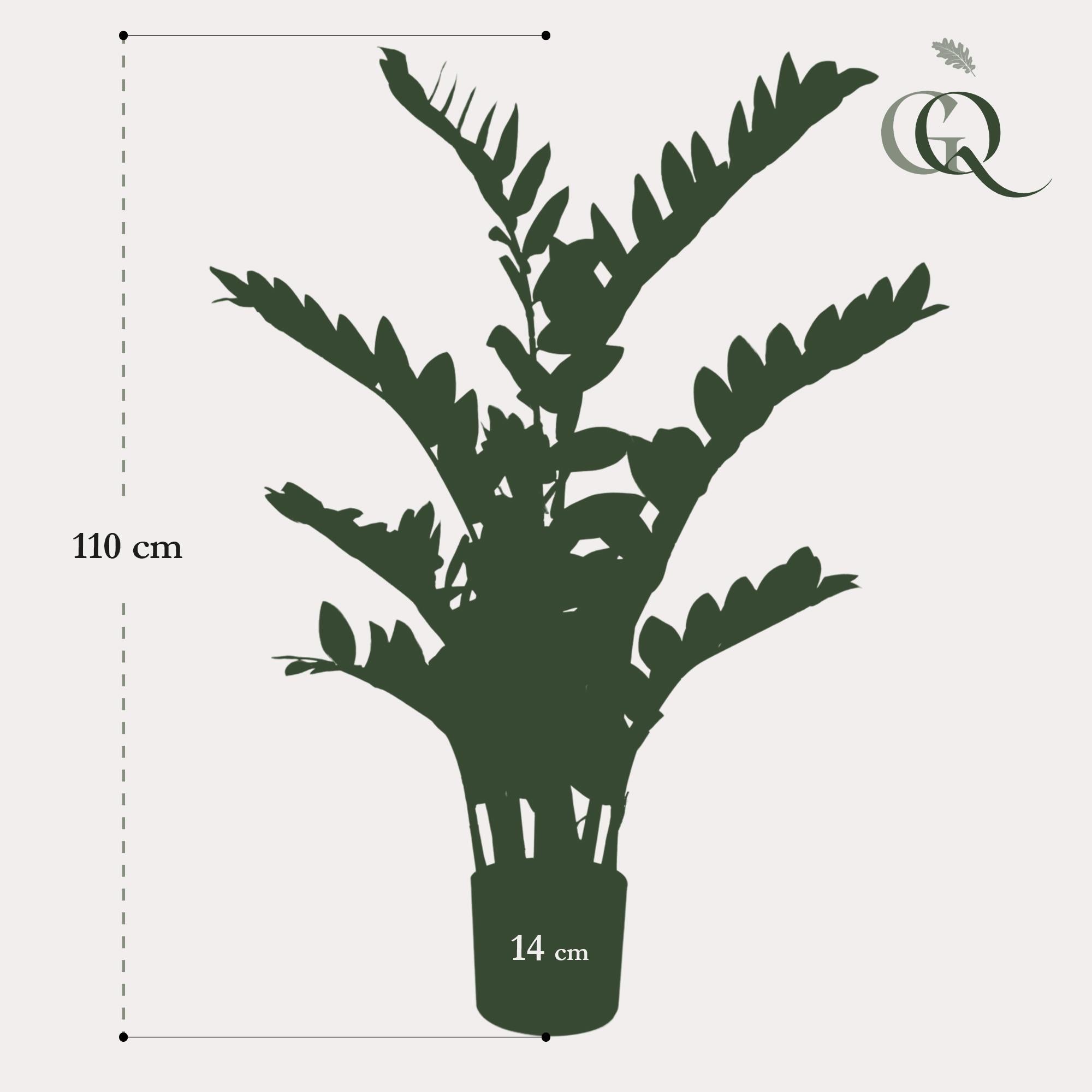 Planta artificial - Zamioculcas - Palmera de interior - 110 cm