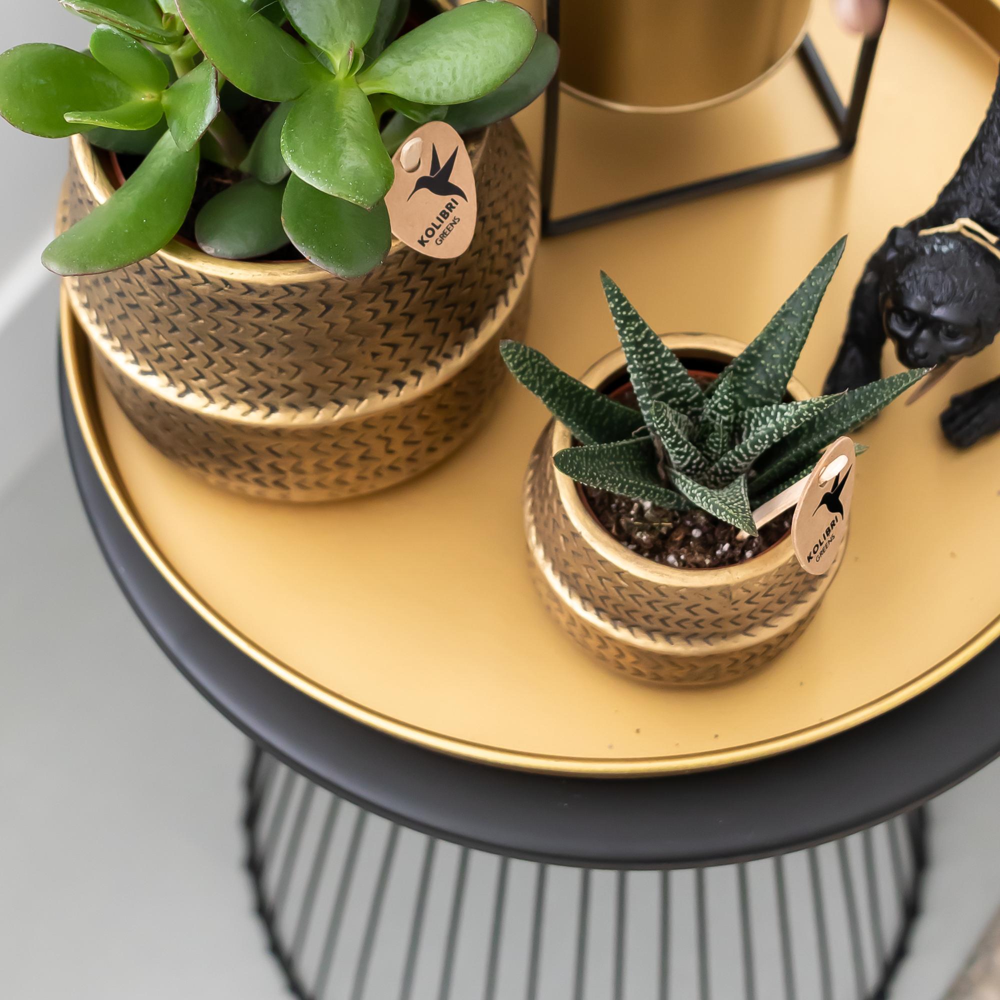 Kolibri Home | Plateau décoratif - Plateau rond doré Ø30cm