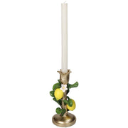 Candeliere con pianta di limone - ↑ 22 cm